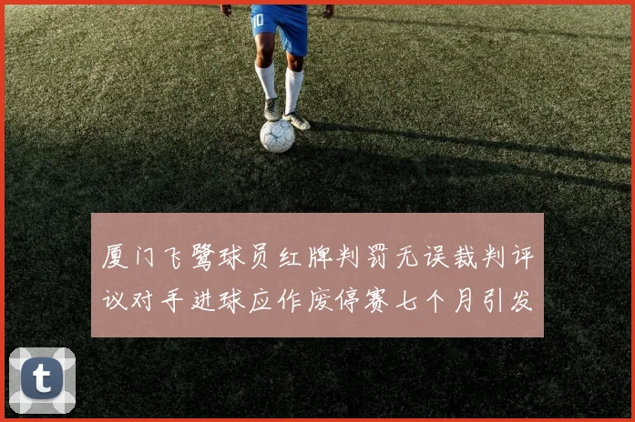 厦门飞鹭球员红牌判罚无误裁判评议对手进球应作废停赛七个月引发热议